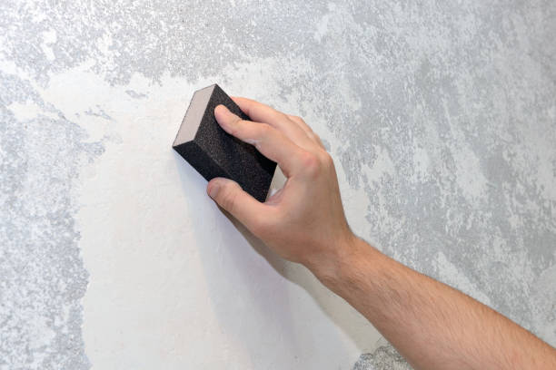 Best Crawl Space Mold Remediation  in South Shore, KY