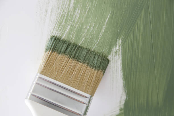 Best Black Mold Removal  in South Shore, KY