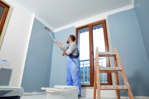 Best Mold Documentation for Insurance Claims  in South Shore, KY