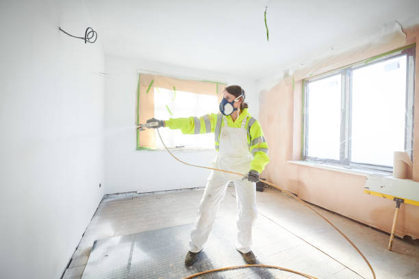  South Shore, KY Mold Removal Pros