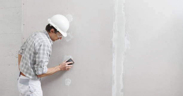 Best Asbestos and Lead Testing During Mold Inspection  in South Shore, KY
