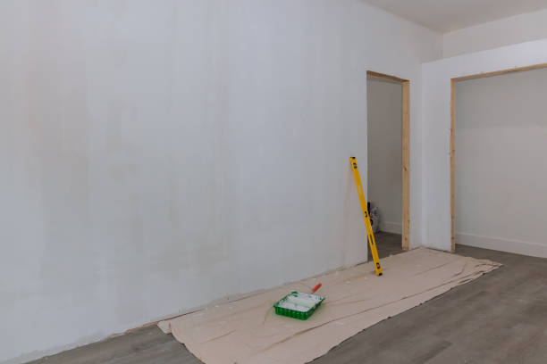 Reliable South Shore, KY Mold Removal Solutions