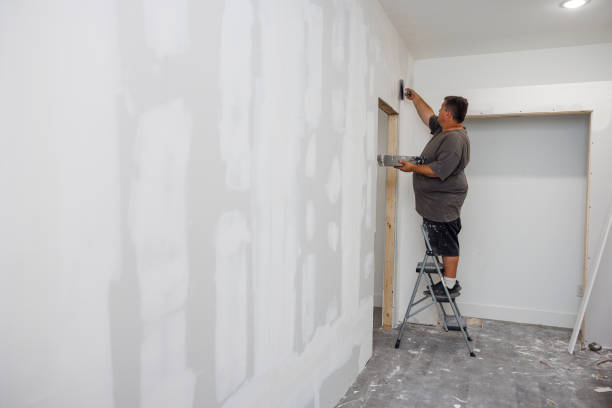Best Real Estate Mold Inspection  in South Shore, KY