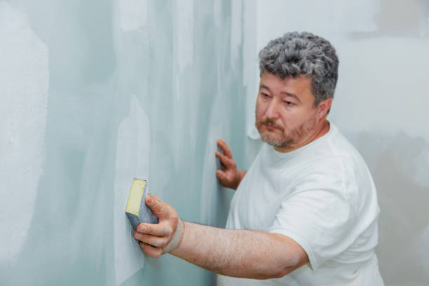 Best Mold-Related Health Consultation  in South Shore, KY