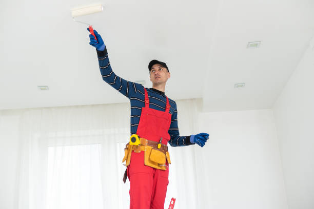 Best Water Damage & Mold Remediation  in South Shore, KY