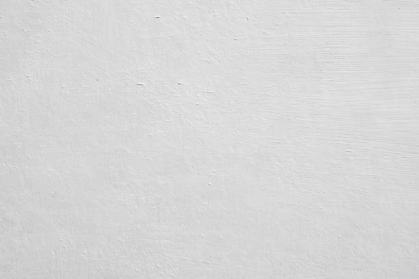 Best Basement Mold Removal  in South Shore, KY