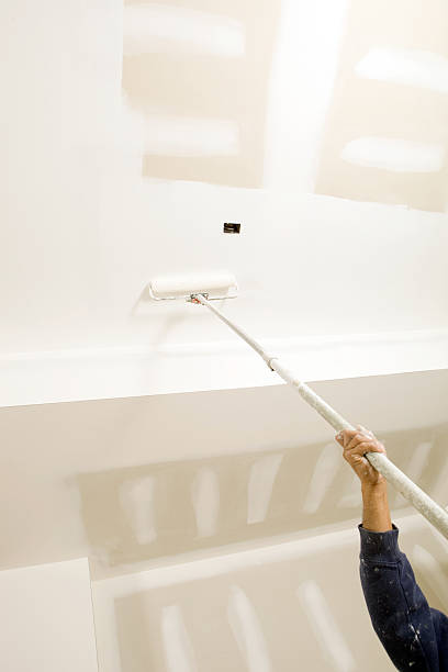Best Environmental Consulting for Mold Prevention  in South Shore, KY