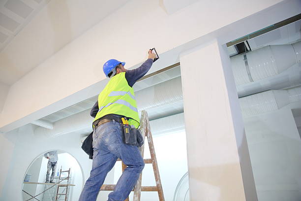 Best Mold Remediation for Healthcare Facilities  in South Shore, KY