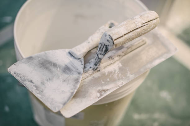 Best Mold Damage Restoration  in South Shore, KY