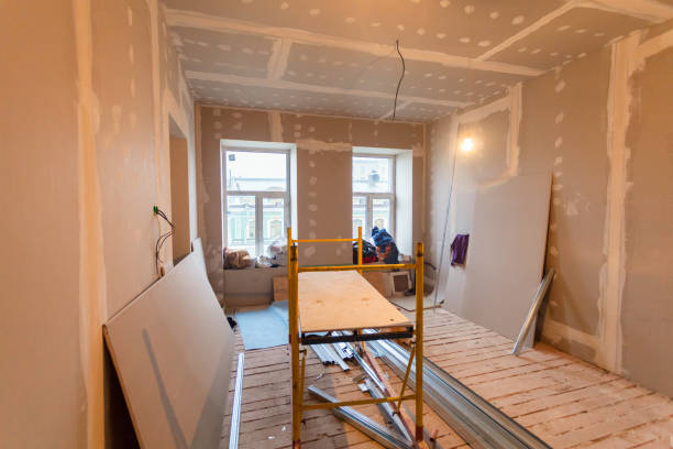 Best Basement Mold Removal  in South Shore, KY