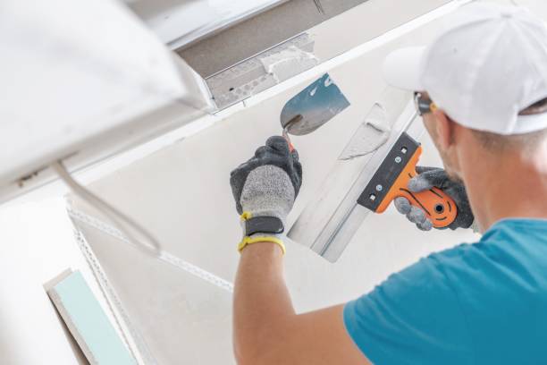 Best Attic Mold Removal  in South Shore, KY